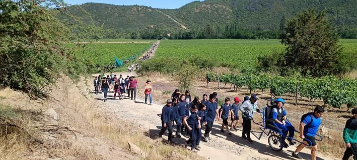 SENDA Previene Santa Cruz cerró el año con una masiva caminata escolar