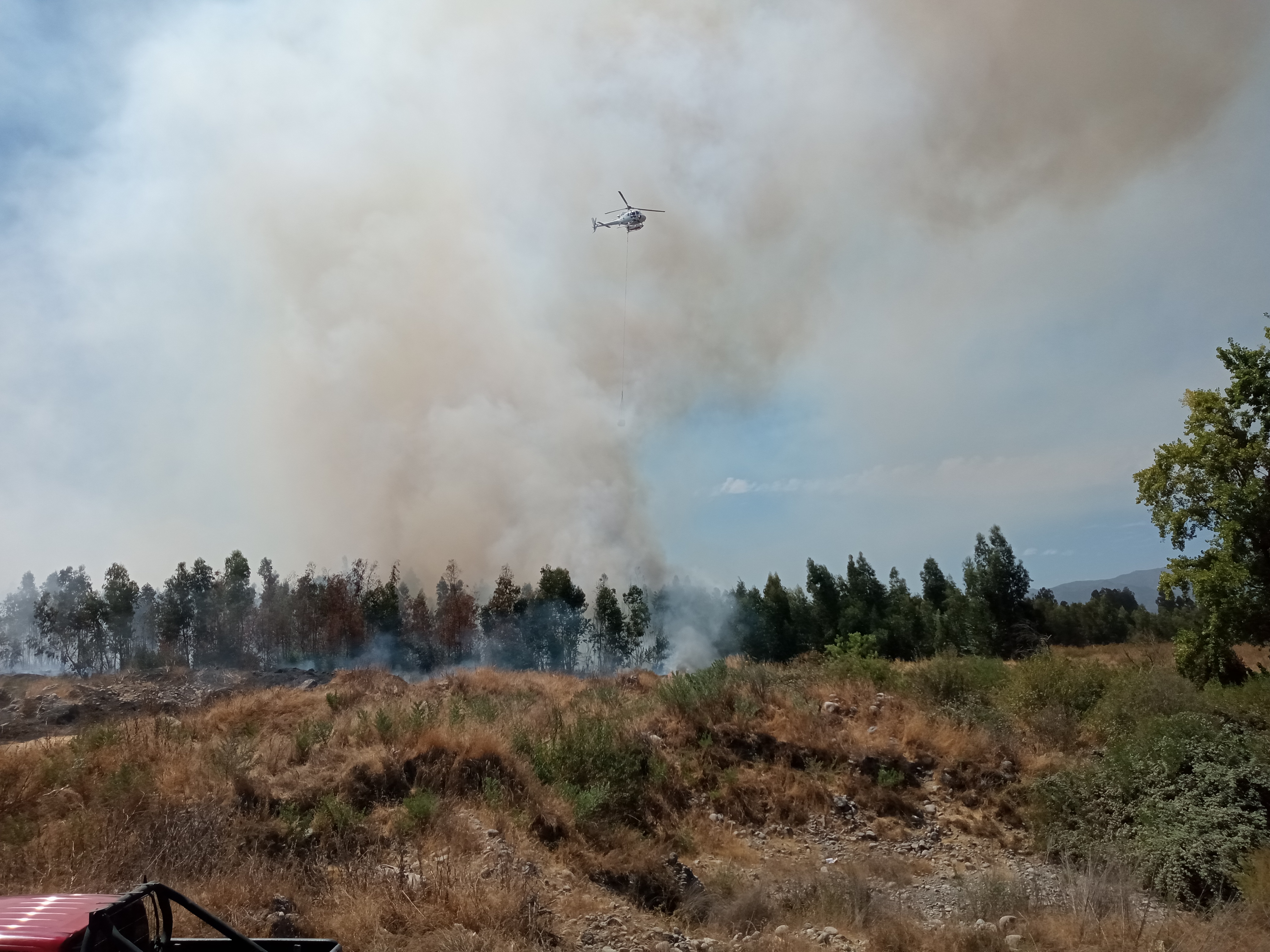 Incendio forestal afecta sector cercano a río Tinguiririca
